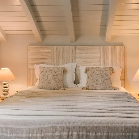 Braunis Horio アソス