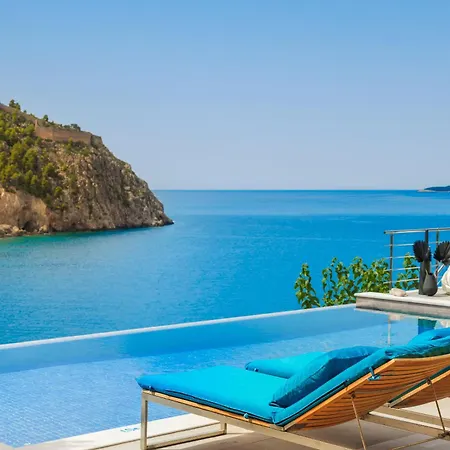 Braunis Horio * アソス