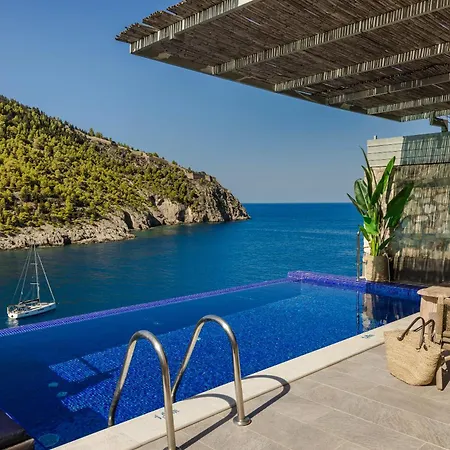 Braunis Horio アソス