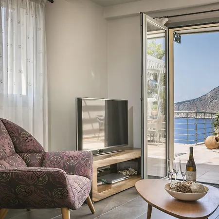 Braunis Horio * アソス