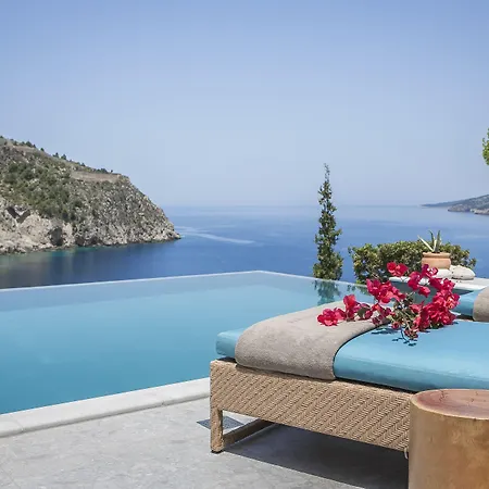 Braunis Horio アソス