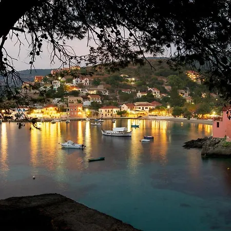 Braunis Horio * アソス